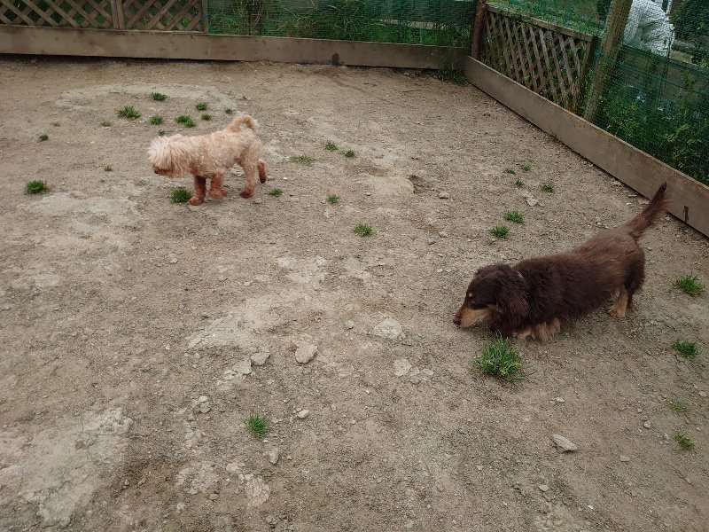 f：id：roukenhome-ann：20200503175340j：plain