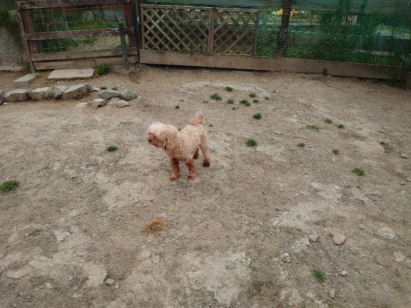 f：id：roukenhome-ann：20200503175412j：plain