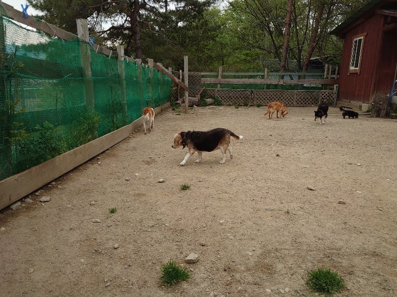 f：id：roukenhome-ann：20200503175418j：plain