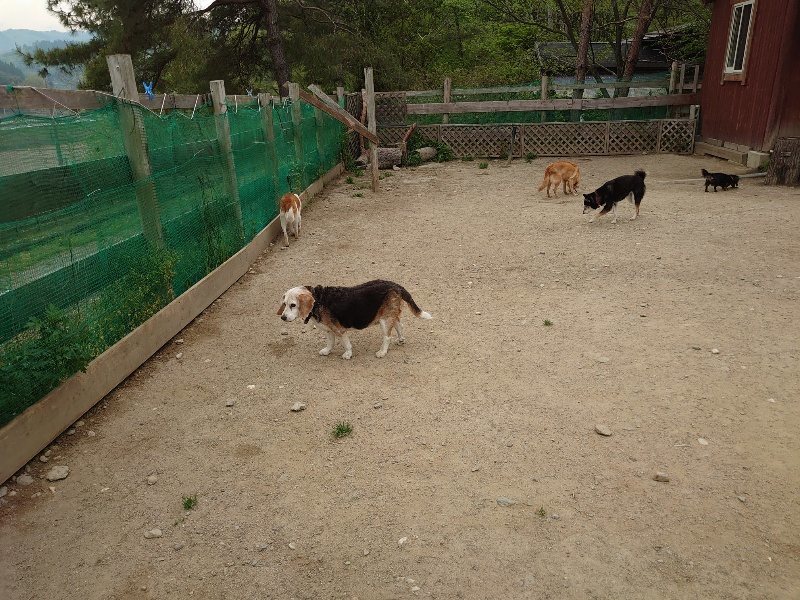 f：id：roukenhome-ann：20200503175428j：plain