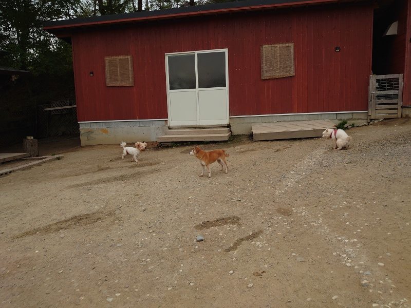 f：id：roukenhome-ann：20200503175433j：plain