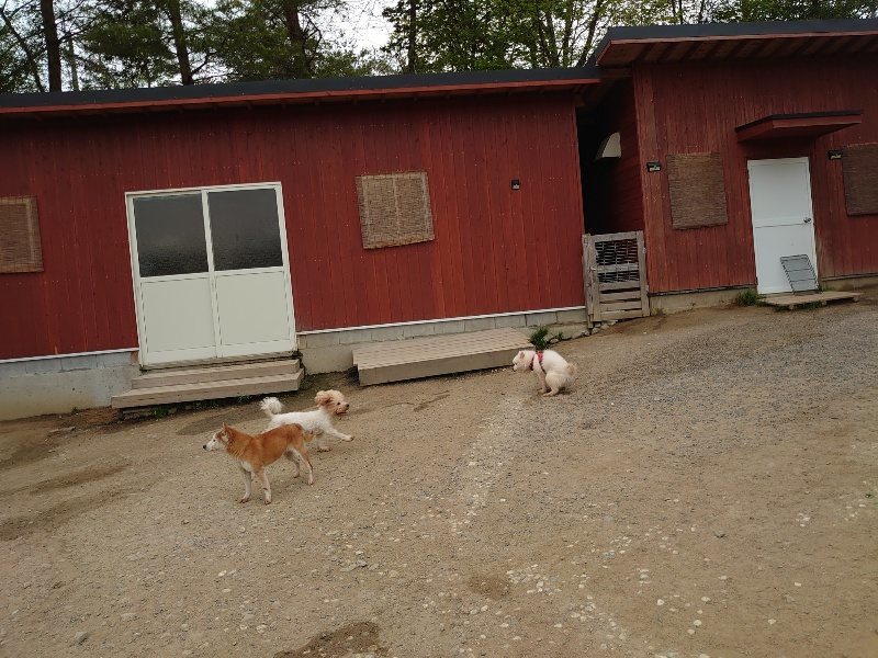 f：id：roukenhome-ann：20200503175439j：plain