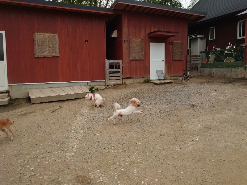 f：id：roukenhome-ann：20200503175443j：plain