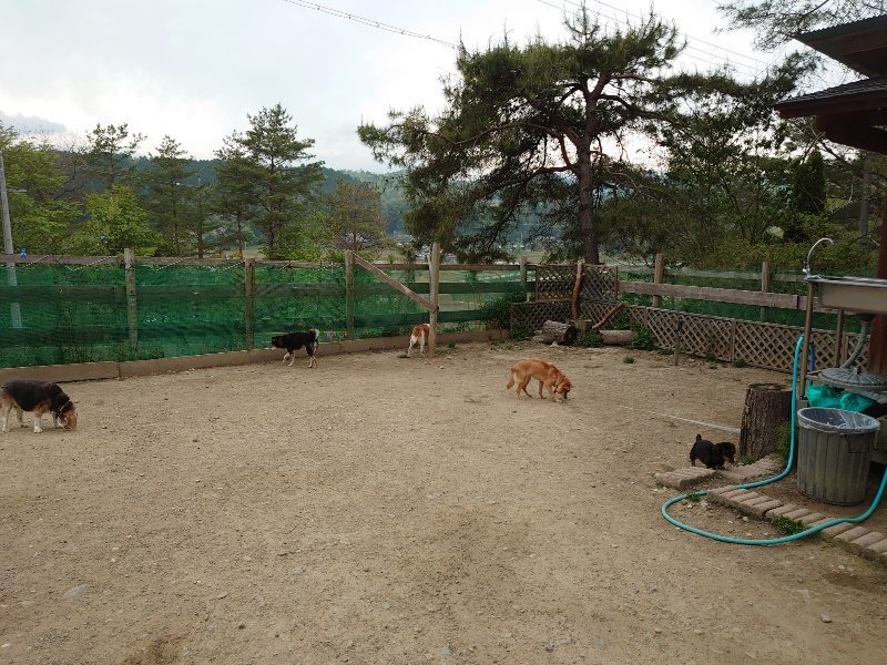 f：id：roukenhome-ann：20200503175542j：plain