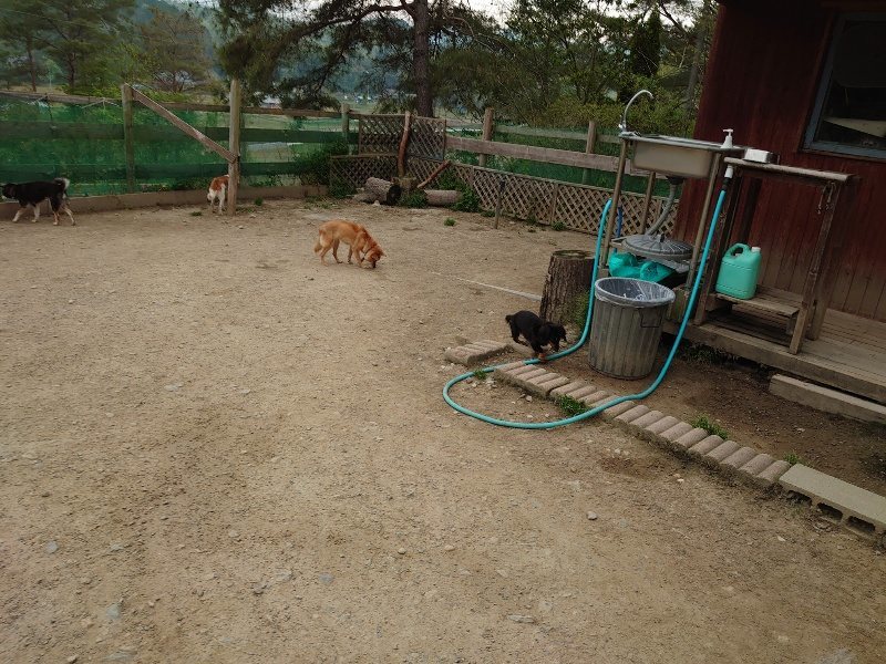 f：id：roukenhome-ann：20200503175547j：plain