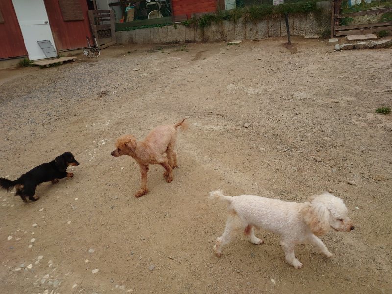 f：id：roukenhome-ann：20200503175557j：plain