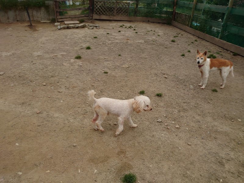 f：id：roukenhome-ann：20200503175609j：plain