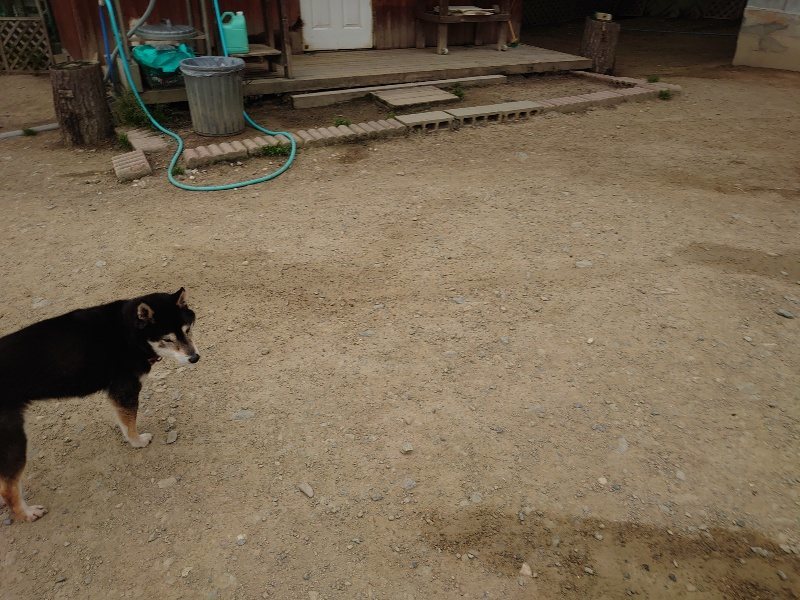 f：id：roukenhome-ann：20200503175631j：plain