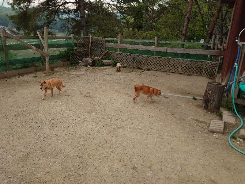 f：id：roukenhome-ann：20200503175640j：plain