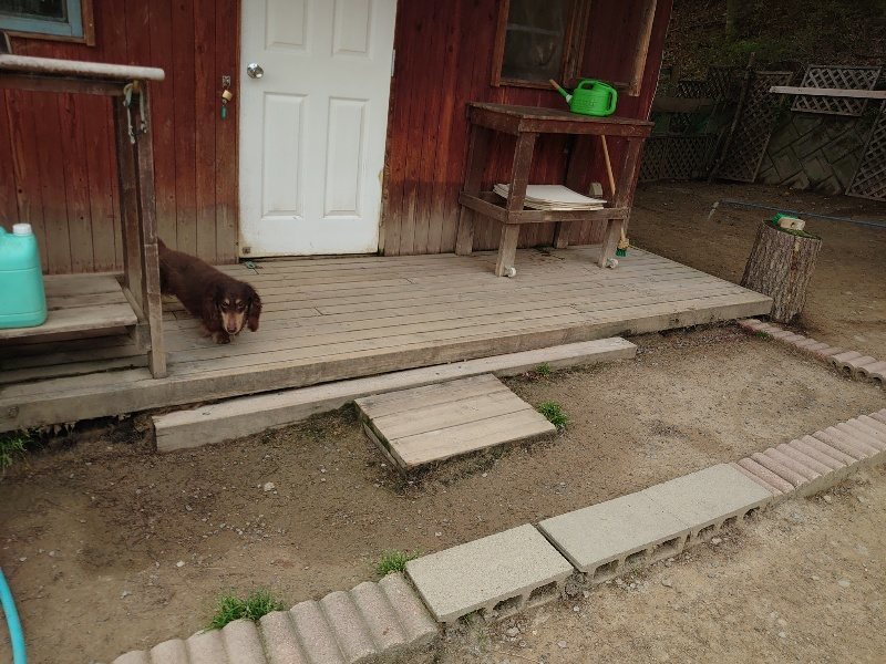 f：id：roukenhome-ann：20200503175650j：plain