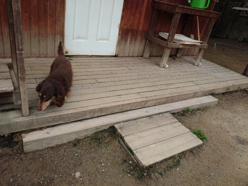 f：id：roukenhome-ann：20200503175701j：plain