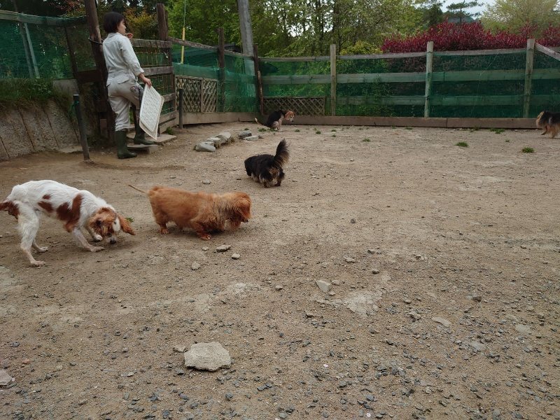 f：id：roukenhome-ann：20200503175758j：plain