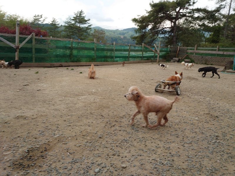 f：id：roukenhome-ann：20200503175810j：plain