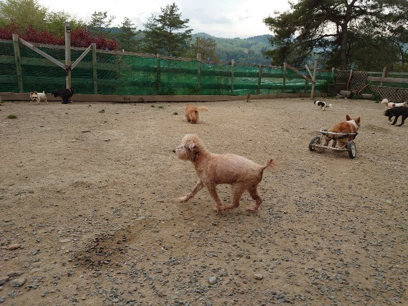 f：id：roukenhome-ann：20200503175817j：plain