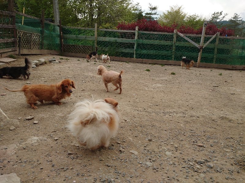 f：id：roukenhome-ann：20200503175835j：plain