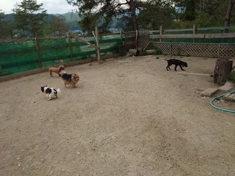 f：id：roukenhome-ann：20200503175905j：plain
