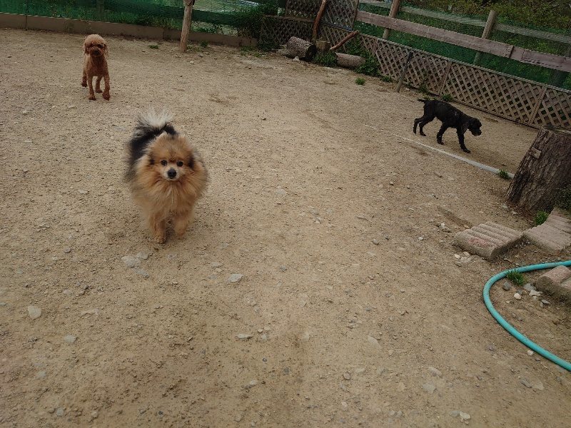f：id：roukenhome-ann：20200503175920j：plain