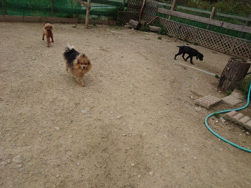 f：id：roukenhome-ann：20200503175926j：plain