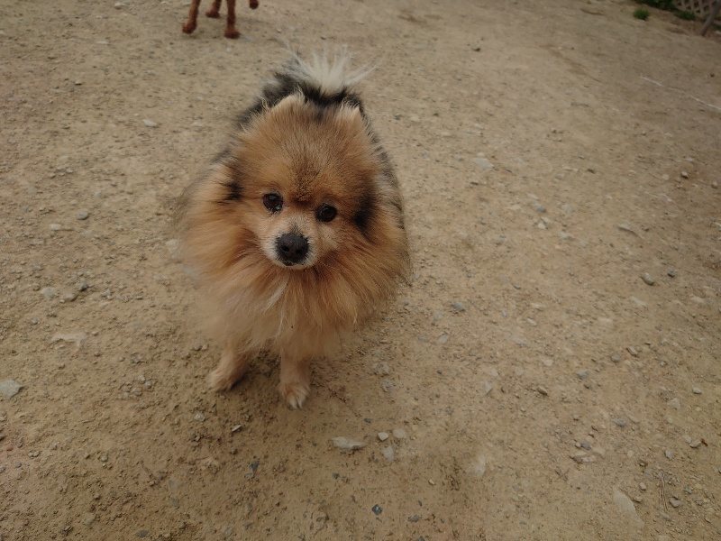 f：id：roukenhome-ann：20200503175941j：plain