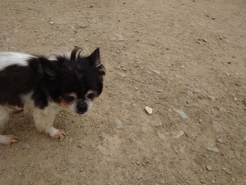 f：id：roukenhome-ann：20200503183714j：plain