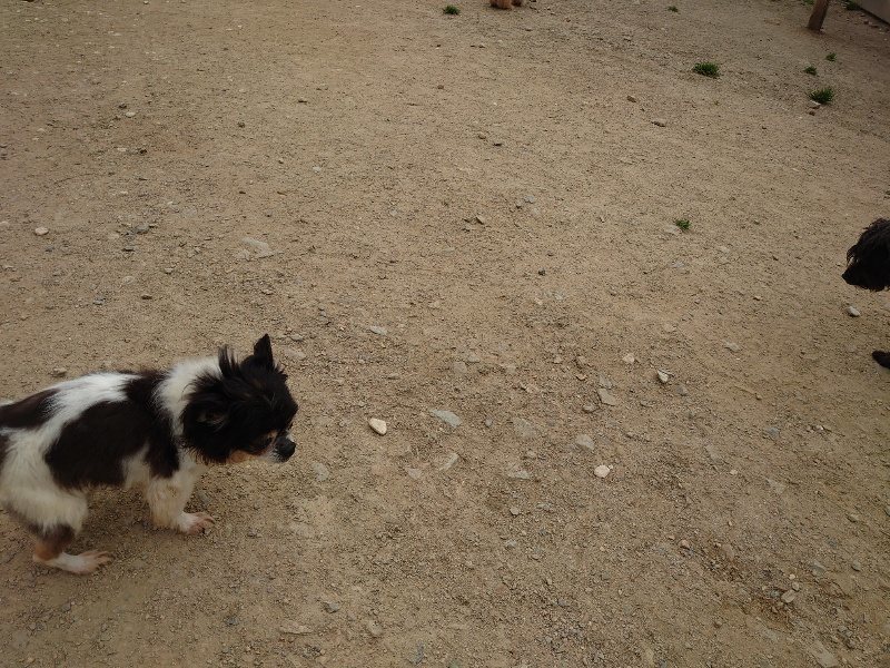 f：id：roukenhome-ann：20200503183735j：plain