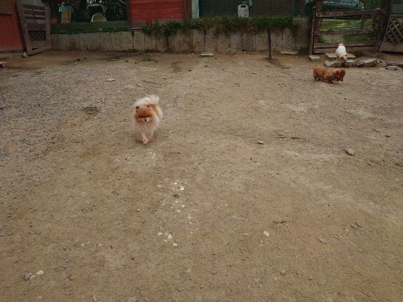 f：id：roukenhome-ann：20200503183814j：plain