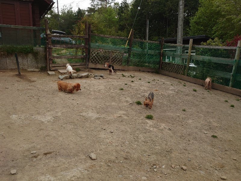 f：id：roukenhome-ann：20200503183819j：plain
