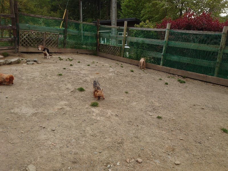 f：id：roukenhome-ann：20200503183828j：plain