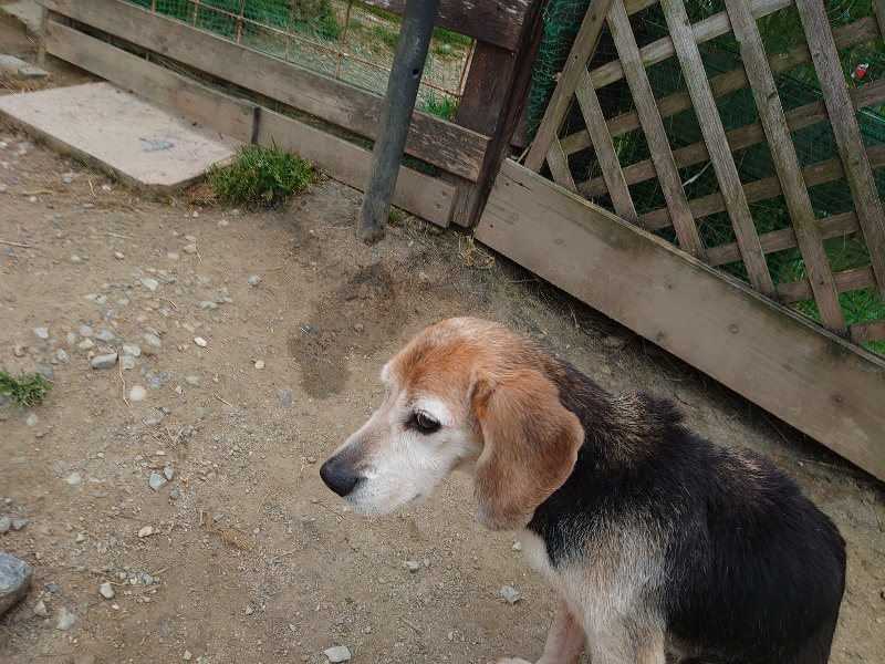 f：id：roukenhome-ann：20200503183946j：plain