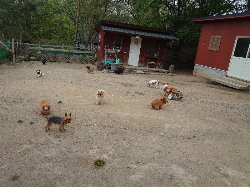 f：id：roukenhome-ann：20200503184011j：plain