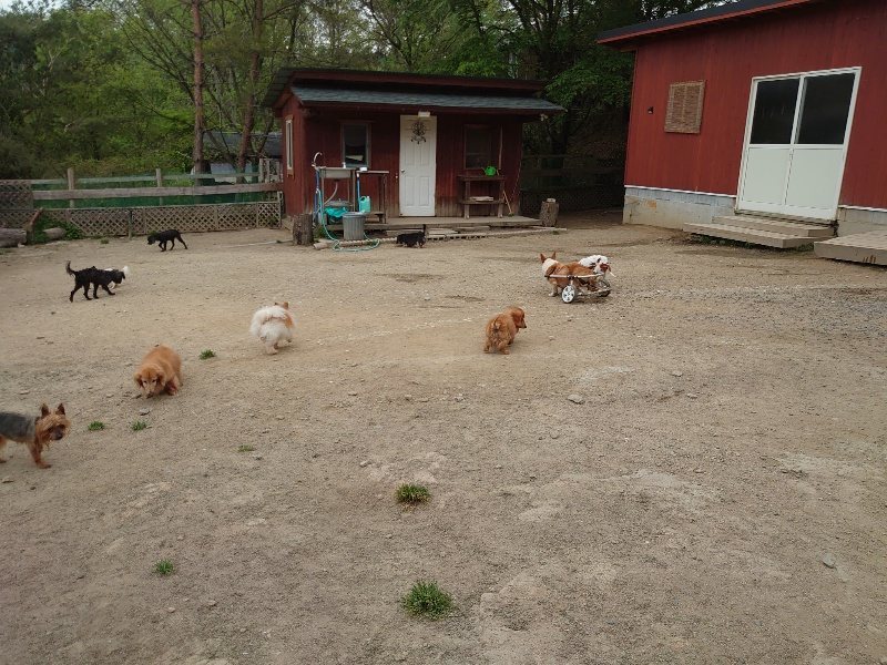 f：id：roukenhome-ann：20200503184017j：plain