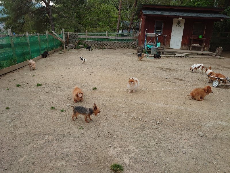 f：id：roukenhome-ann：20200503184023j：plain