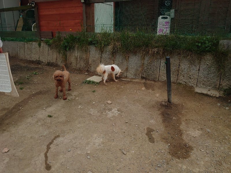 f：id：roukenhome-ann：20200503184029j：plain