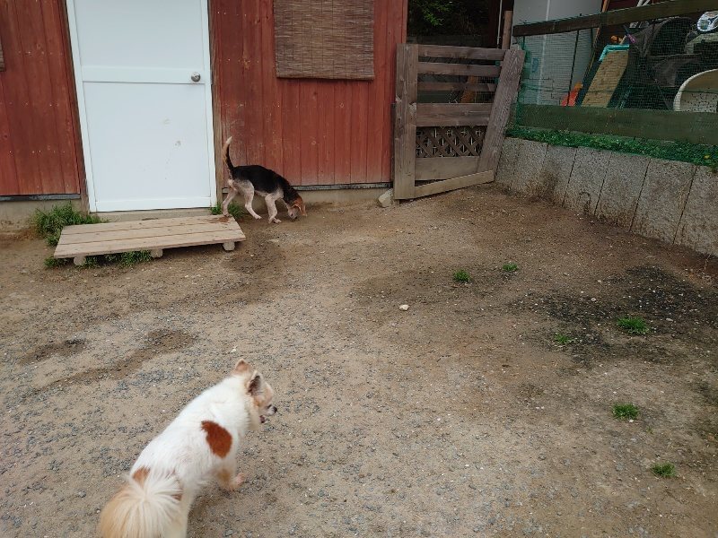 f：id：roukenhome-ann：20200503184140j：plain