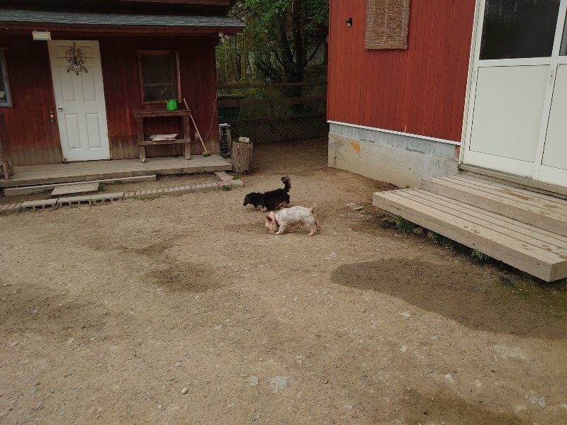 f：id：roukenhome-ann：20200503184155j：plain