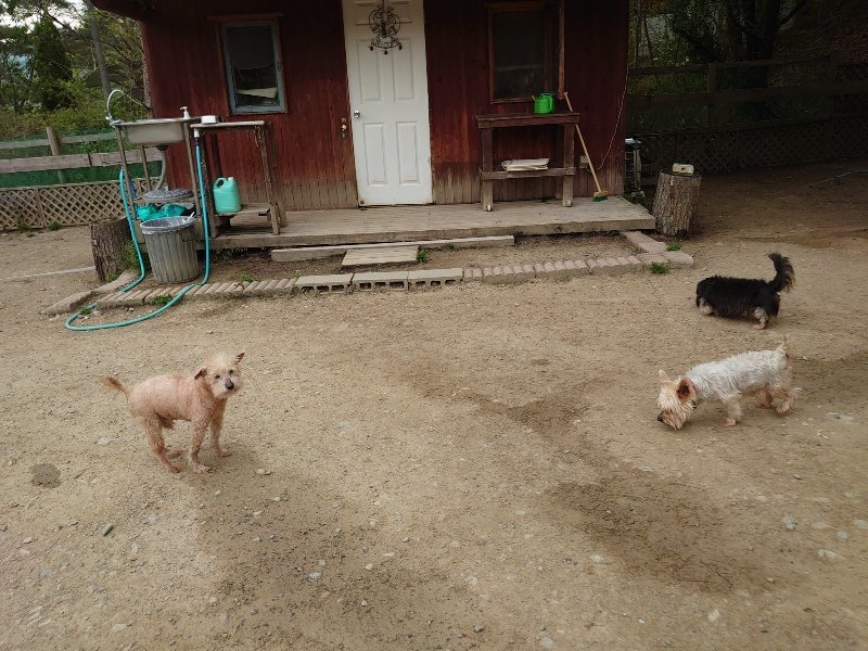 f：id：roukenhome-ann：20200503184200j：plain