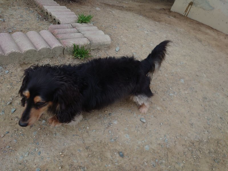f：id：roukenhome-ann：20200503184246j：plain