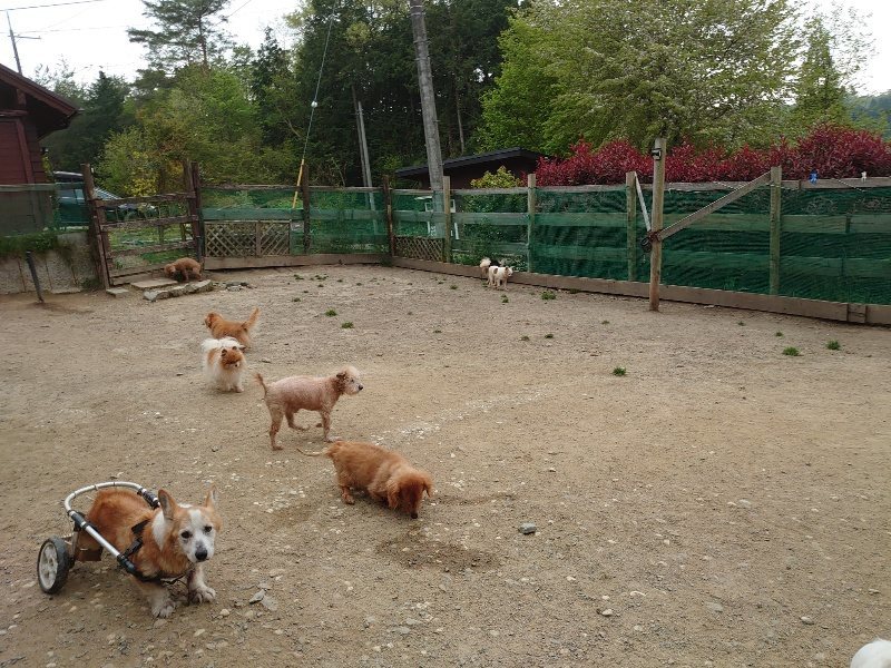 f：id：roukenhome-ann：20200503184302j：plain