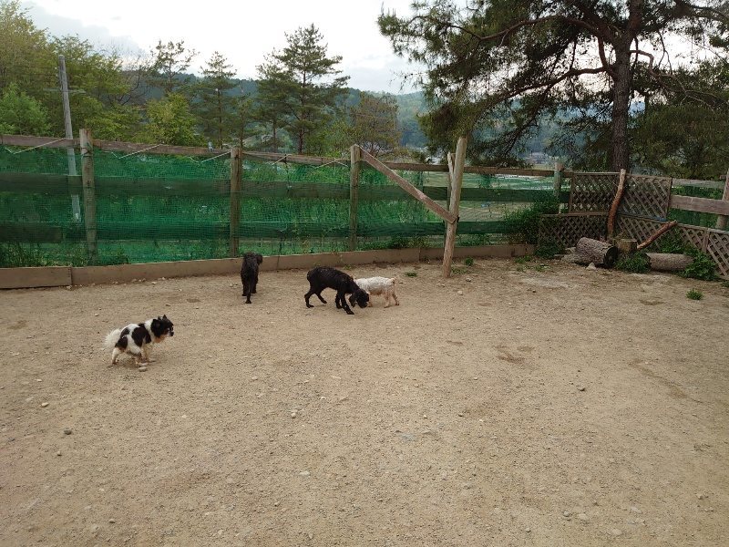 f：id：roukenhome-ann：20200503184308j：plain