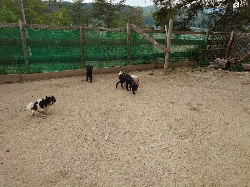 f：id：roukenhome-ann：20200503184315j：plain