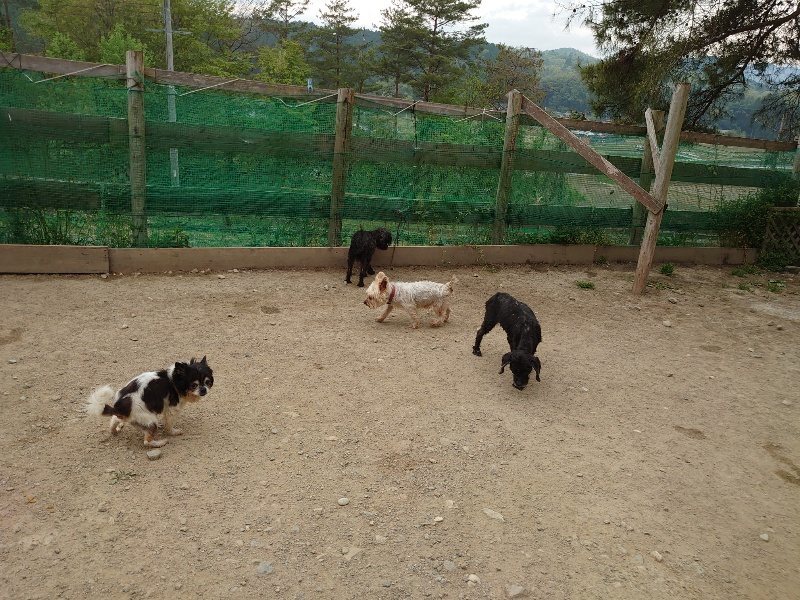 f：id：roukenhome-ann：20200503184321j：plain