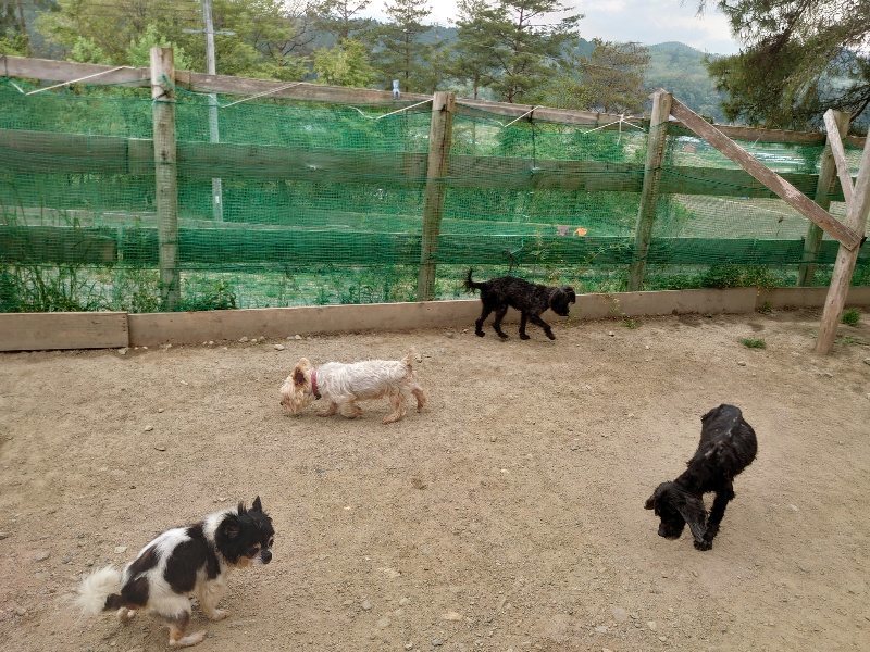 f：id：roukenhome-ann：20200503184326j：plain