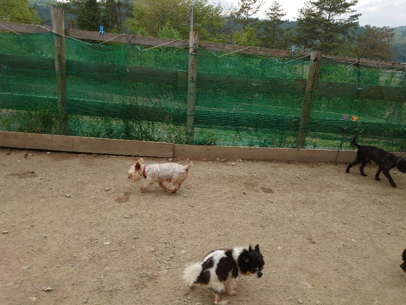 f：id：roukenhome-ann：20200503184331j：plain
