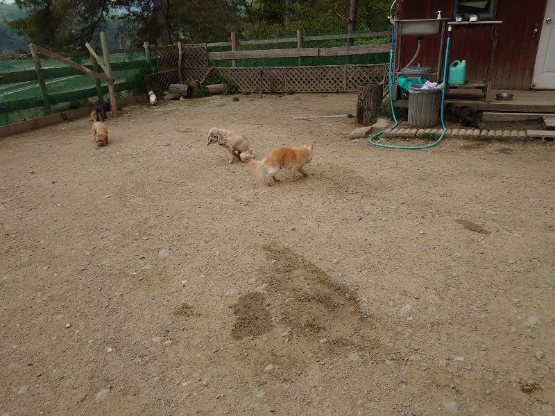 f：id：roukenhome-ann：20200503184458j：plain