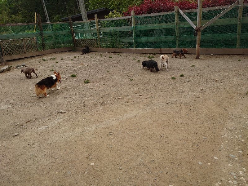 f：id：roukenhome-ann：20200503184504j：plain