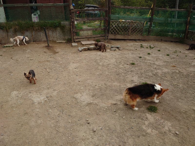 f：id：roukenhome-ann：20200503184511j：plain