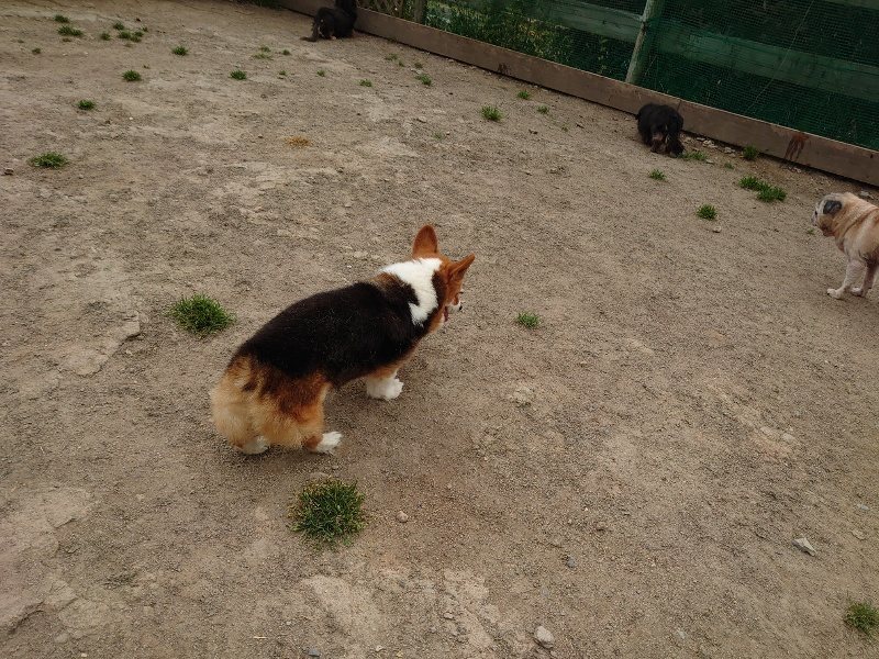 f：id：roukenhome-ann：20200503184520j：plain