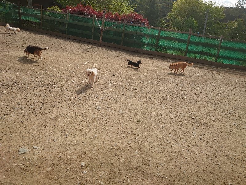 f：id：roukenhome-ann：20200504183015j：plain