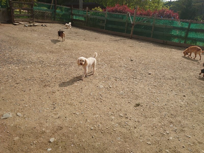 f：id：roukenhome-ann：20200504183021j：plain