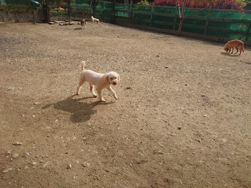 f：id：roukenhome-ann：20200504183115j：plain